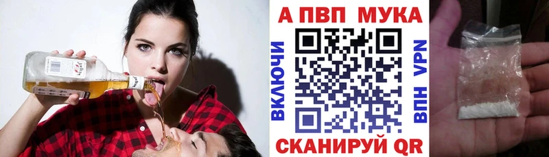 Alfa_PVP СК Гагарин