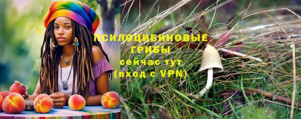 spice Арсеньев