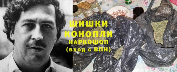 прущие грибы Балахна