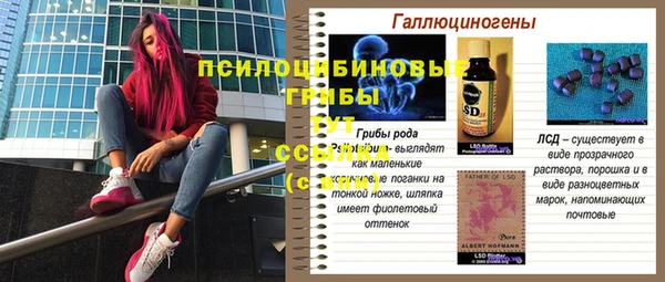 прущие грибы Балахна