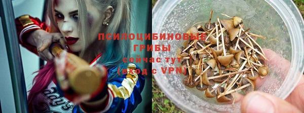spice Арсеньев